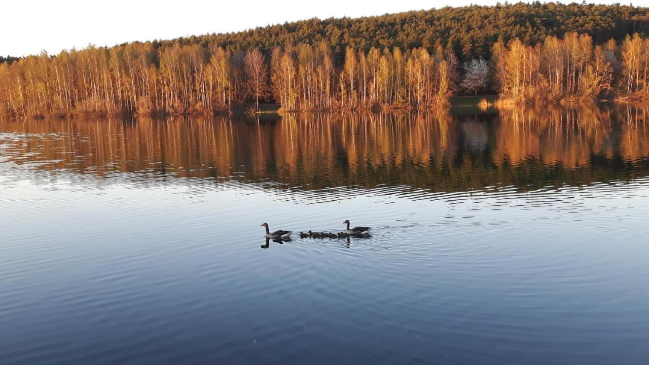 Ferienwohnung Schwalbennest Am Igelsbachsee Absberg Εξωτερικό φωτογραφία